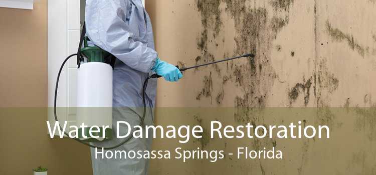 Water Damage Restoration Homosassa Springs - Florida