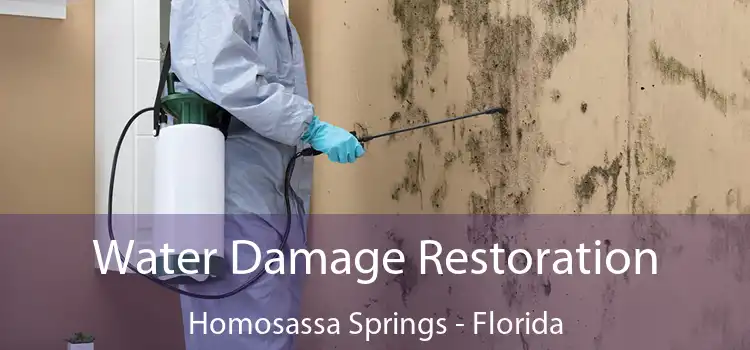 Water Damage Restoration Homosassa Springs - Florida