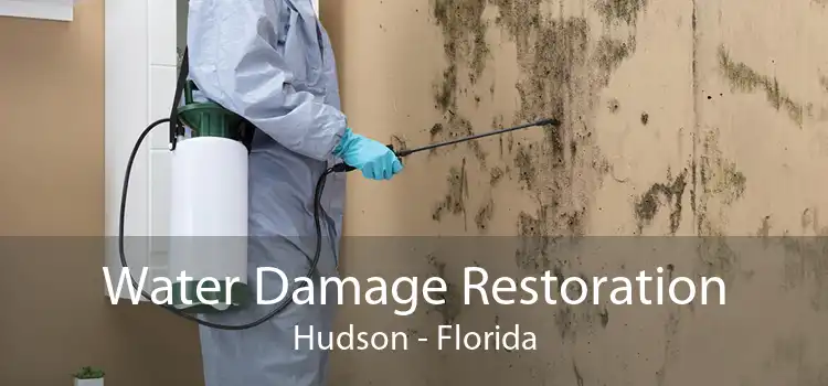 Water Damage Restoration Hudson - Florida