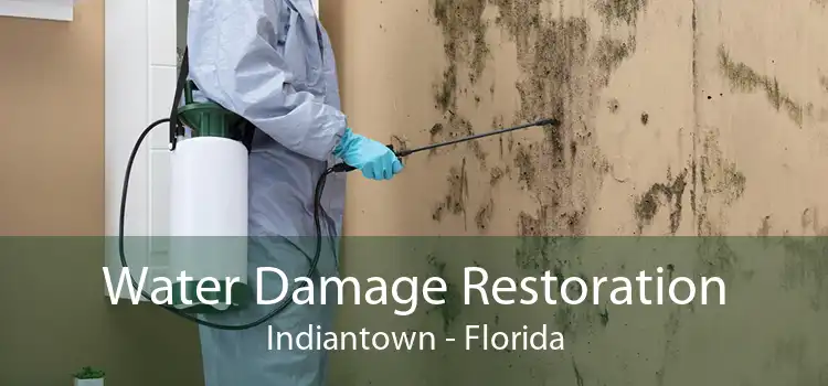 Water Damage Restoration Indiantown - Florida
