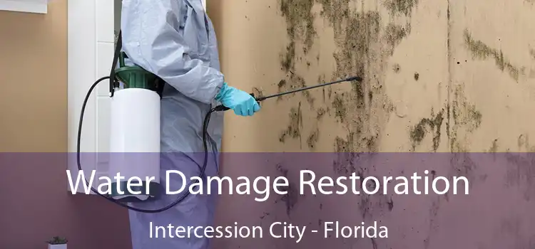 Water Damage Restoration Intercession City - Florida