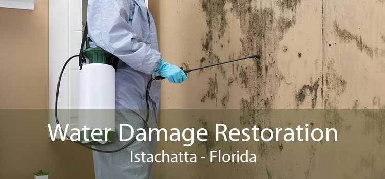 Water Damage Restoration Istachatta - Florida