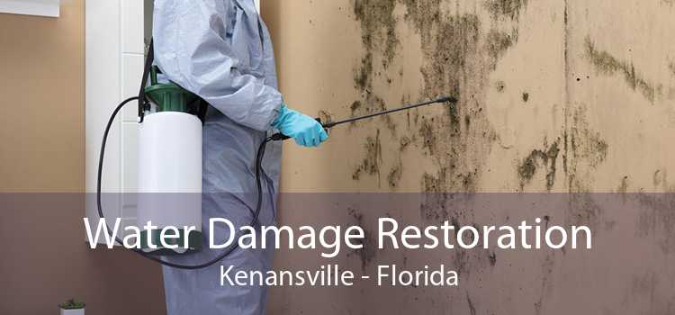 Water Damage Restoration Kenansville - Florida