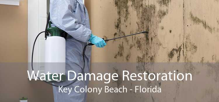 Water Damage Restoration Key Colony Beach - Florida
