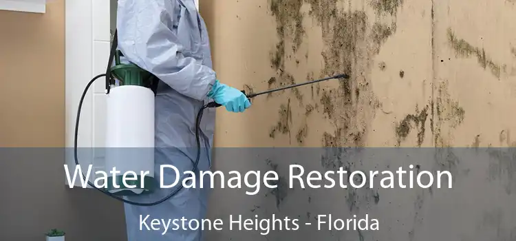 Water Damage Restoration Keystone Heights - Florida