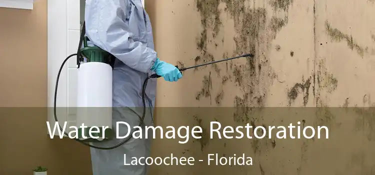 Water Damage Restoration Lacoochee - Florida