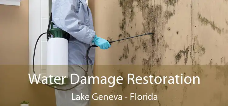 Water Damage Restoration Lake Geneva - Florida