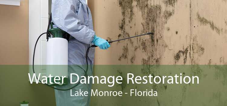 Water Damage Restoration Lake Monroe - Florida