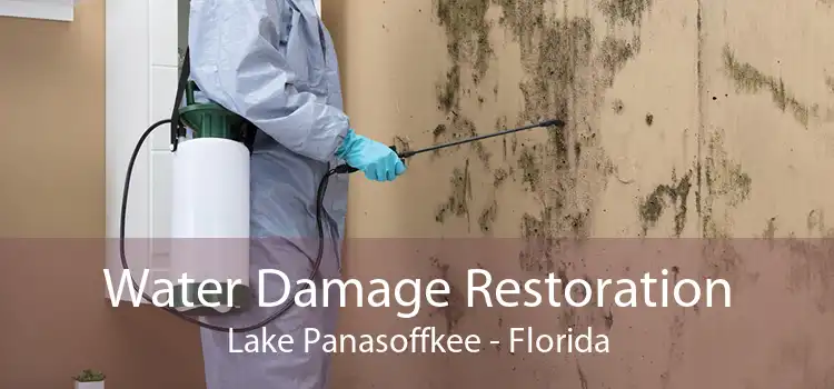 Water Damage Restoration Lake Panasoffkee - Florida