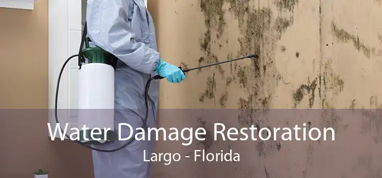 Water Damage Restoration Largo - Florida