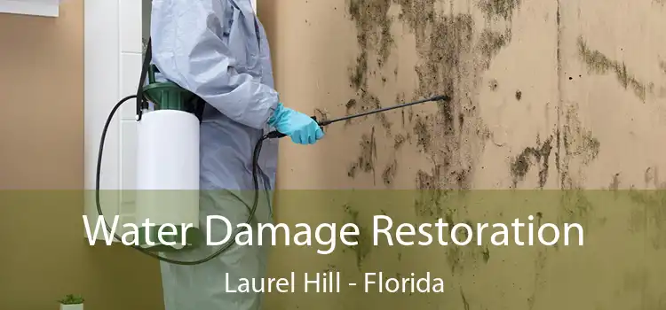 Water Damage Restoration Laurel Hill - Florida
