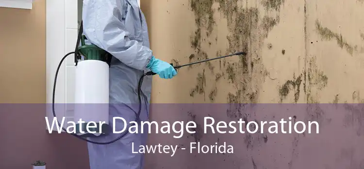 Water Damage Restoration Lawtey - Florida
