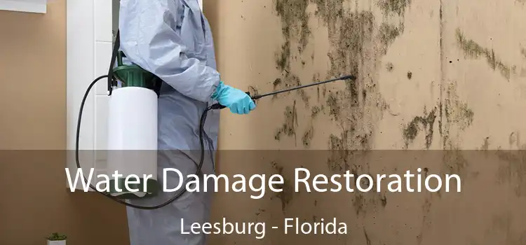 Water Damage Restoration Leesburg - Florida