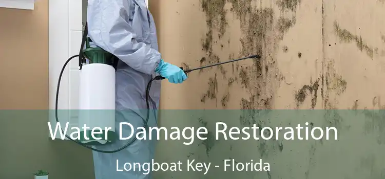 Water Damage Restoration Longboat Key - Florida