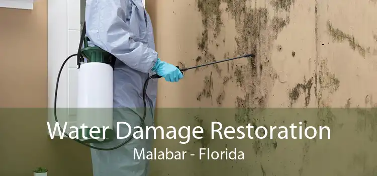 Water Damage Restoration Malabar - Florida
