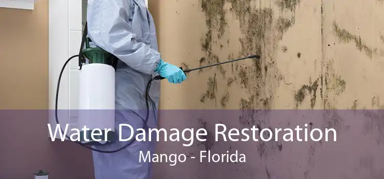 Water Damage Restoration Mango - Florida