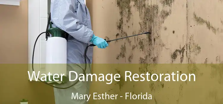 Water Damage Restoration Mary Esther - Florida