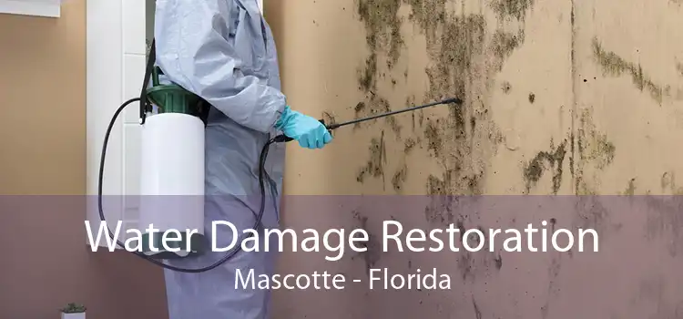 Water Damage Restoration Mascotte - Florida