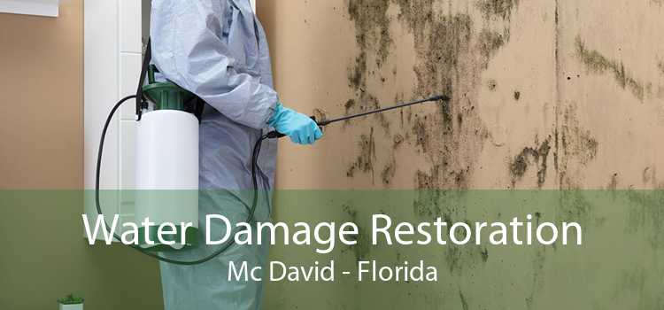 Water Damage Restoration Mc David - Florida