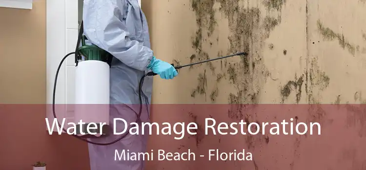 Water Damage Restoration Miami Beach - Florida