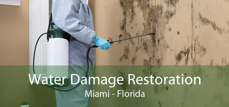 Water Damage Restoration Miami - Florida