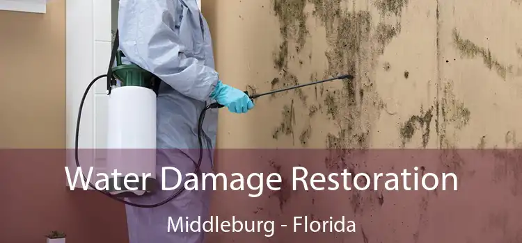 Water Damage Restoration Middleburg - Florida