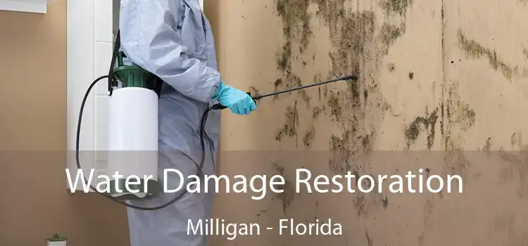 Water Damage Restoration Milligan - Florida