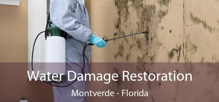 Water Damage Restoration Montverde - Florida