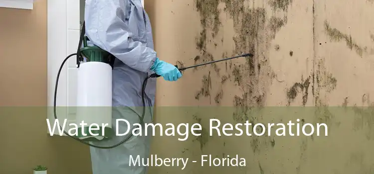 Water Damage Restoration Mulberry - Florida