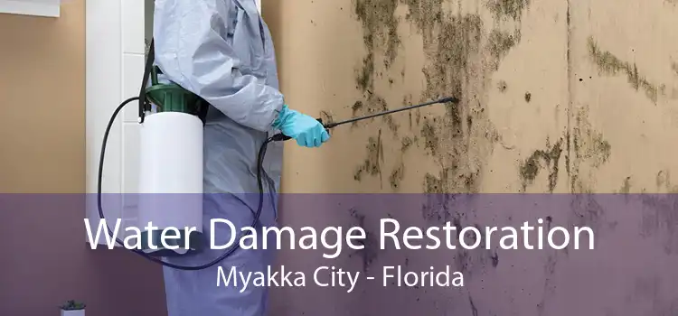 Water Damage Restoration Myakka City - Florida