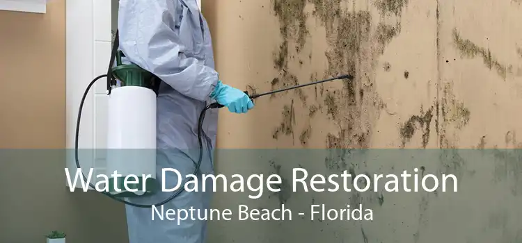 Water Damage Restoration Neptune Beach - Florida