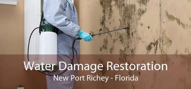 Water Damage Restoration New Port Richey - Florida