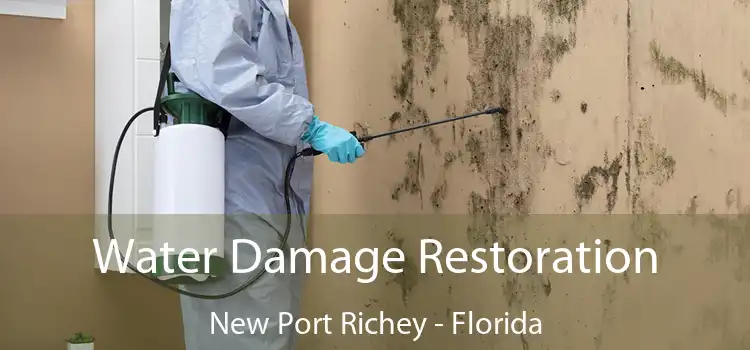 Water Damage Restoration New Port Richey - Florida