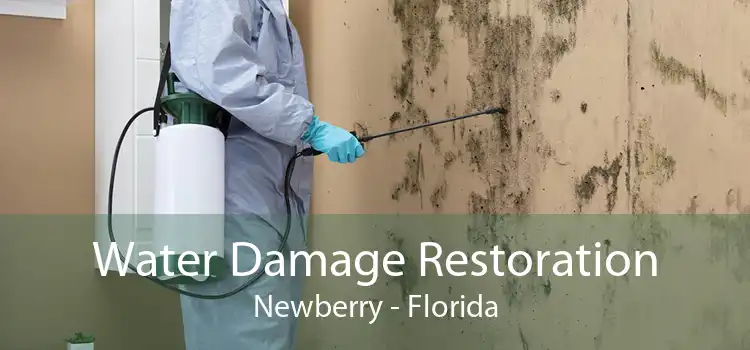 Water Damage Restoration Newberry - Florida