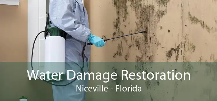 Water Damage Restoration Niceville - Florida