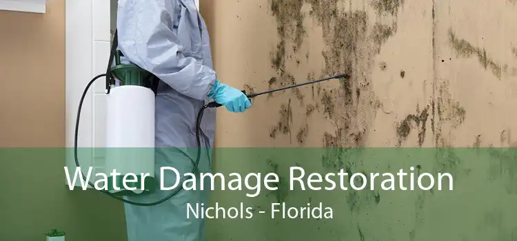 Water Damage Restoration Nichols - Florida