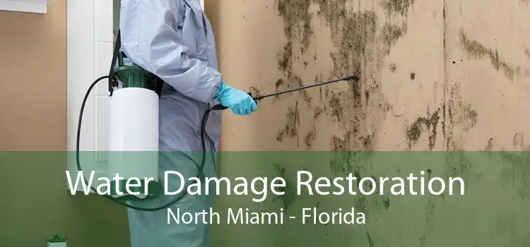 Water Damage Restoration North Miami - Florida