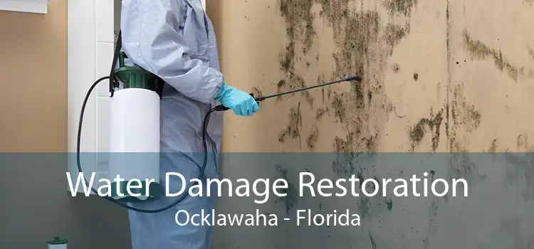 Water Damage Restoration Ocklawaha - Florida