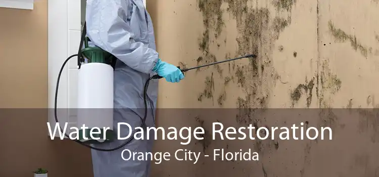 Water Damage Restoration Orange City - Florida