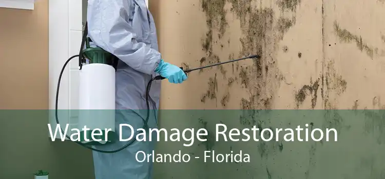 Water Damage Restoration Orlando - Florida