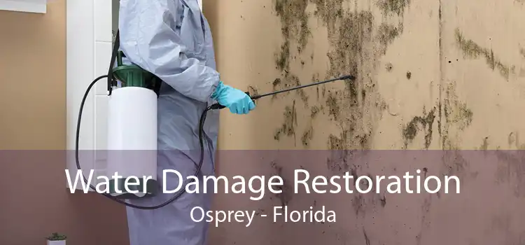 Water Damage Restoration Osprey - Florida