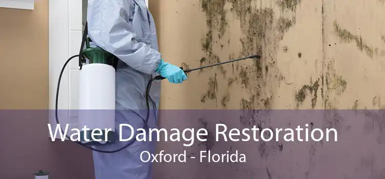Water Damage Restoration Oxford - Florida