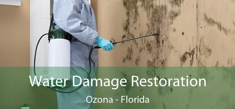 Water Damage Restoration Ozona - Florida