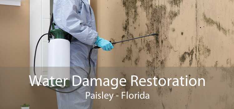 Water Damage Restoration Paisley - Florida