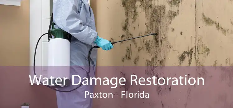 Water Damage Restoration Paxton - Florida