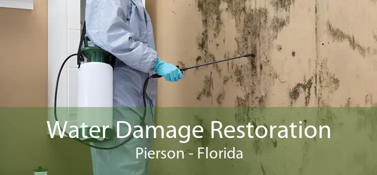 Water Damage Restoration Pierson - Florida
