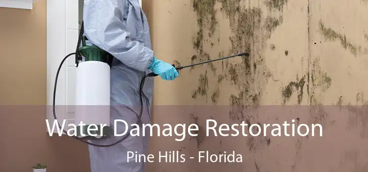 Water Damage Restoration Pine Hills - Florida