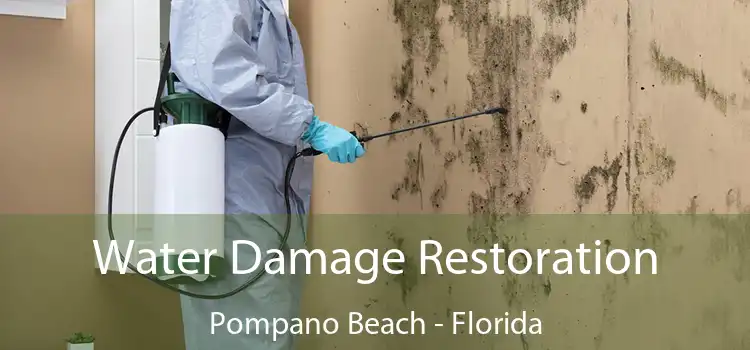 Water Damage Restoration Pompano Beach - Florida