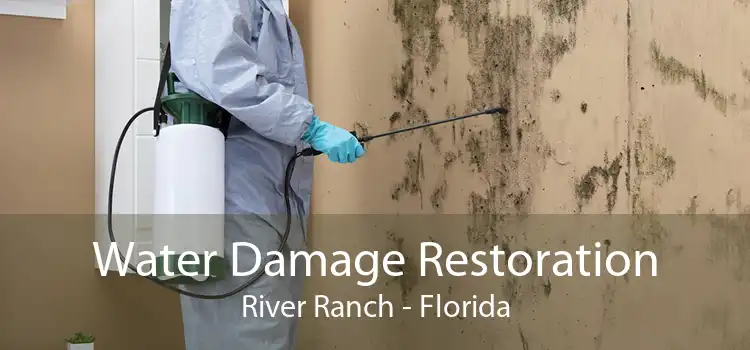 Water Damage Restoration River Ranch - Florida