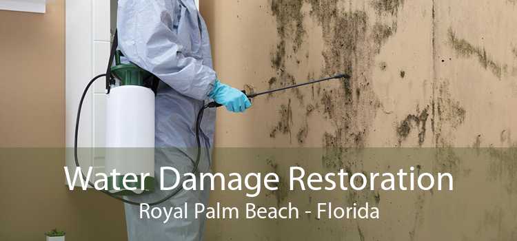 Water Damage Restoration Royal Palm Beach - Florida